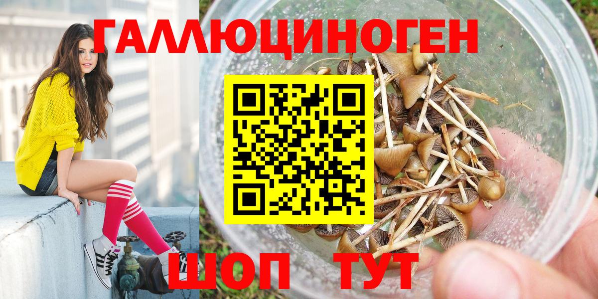 Псилоцибиновые грибы Magic Shrooms Георгиевск