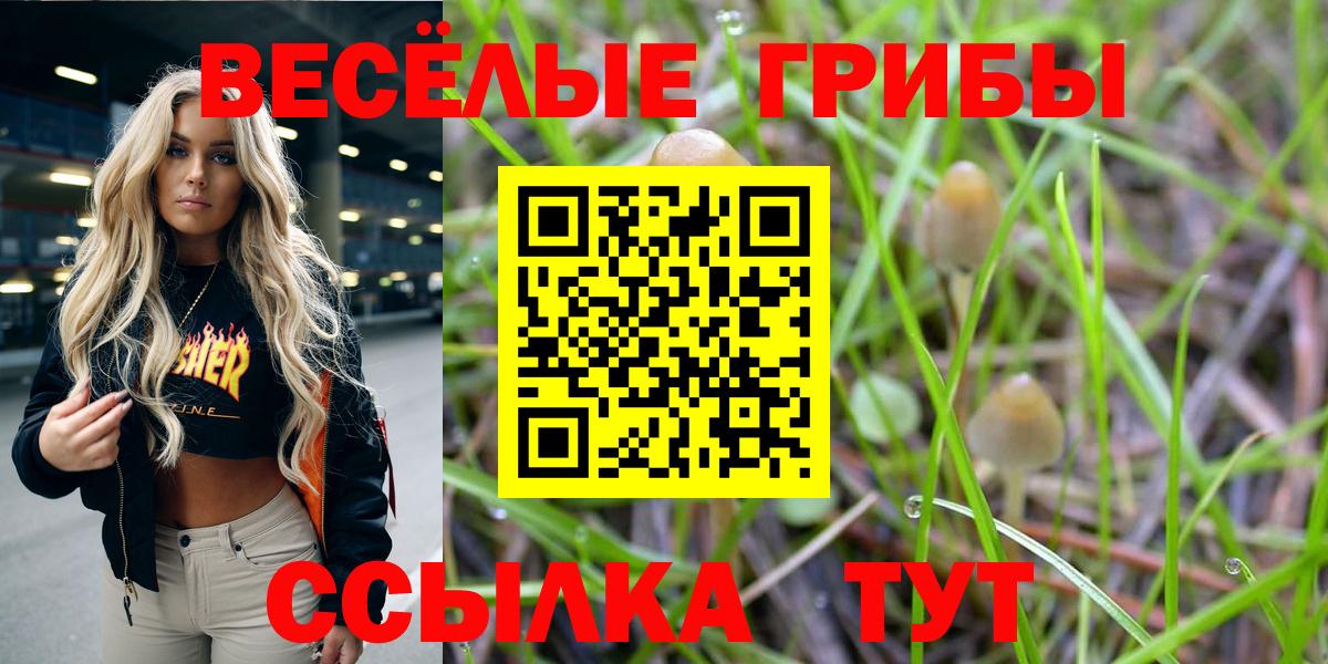 Псилоцибиновые грибы GOLDEN TEACHER  Вход с VPN  Георгиевск 